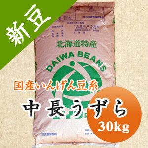 瓤  kCY 30kgyߘa7NYz Ɩp