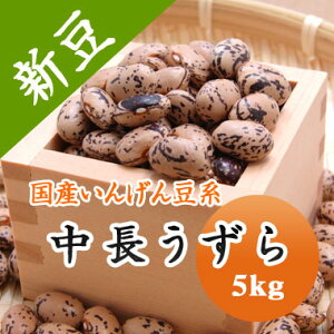 瓤  kCY 5kgyߘa6NYze
