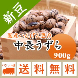 うずら豆 中長うずら 北海道産 900g【令和6年産】 メール便 送料無料
