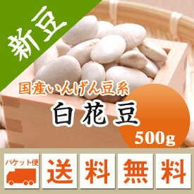 白花豆 しろはな豆 北海道産 500g【令和7年産】 メール便 送料無料