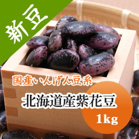 紫花豆 北海道産 磨き選別品 1kg【令和7年産】