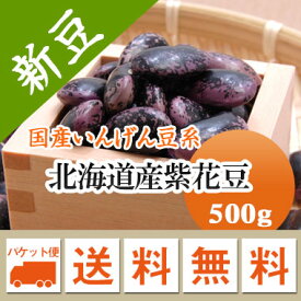 紫花豆 北海道産 磨き選別品 500g【令和7年産】 メール便 送料無料