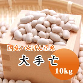 白いんげん豆 大手亡 白餡 北海道産 10kg 【令和6年産】 大容量