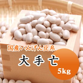 白いんげん豆 大手亡 白餡 北海道産 5kg 【令和5年産】 大容量