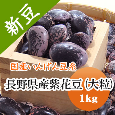 長野県産の大粒な高原花豆です 紫花豆 日本最大級 高原花豆 長野県産 令和３年産 数量限定 宅配 1kg