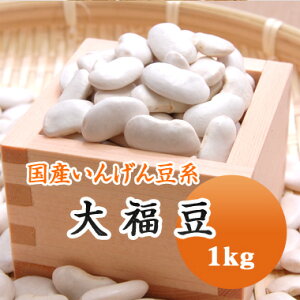 񂰂 啟 \Z lZ kCY 1kgyߘa6NYz