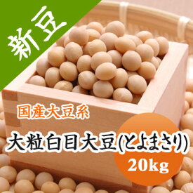 大豆 白目大豆 北海道代表銘柄 とよまさり 20kg【令和5年産】 【業務用】 味噌用大豆 煮豆