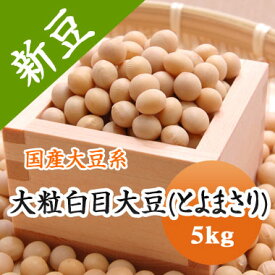 大豆 北海道産 【令和5年産】 とよまさり5kg 大容量!! 味噌 煮豆用大豆
