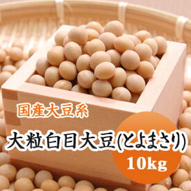 大豆 【令和6年産】 北海道代表銘柄 とよまさり 味噌作り　 煮豆などに.. 10kg大容量 送料無料！！