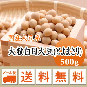 哤 ڑ哤 Ƃ܂ kCY X ϓȂǂɂ 500gyߘa6NYz [ 