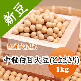 大豆 中粒白目大豆 とよまさり 【令和5年産】 北海道産 1kg