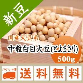 大豆 中粒白目大豆 とよまさり 北海道産 500g豆乳 煮豆などに 【令和5年産】 メール便 送料無料　お届けに3日～7日かかります