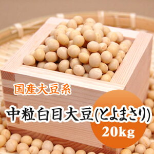 哤 ڑ哤 Ƃ܂ yߘa6NYz kCY ϓ  X Ȃǂ 20kg e