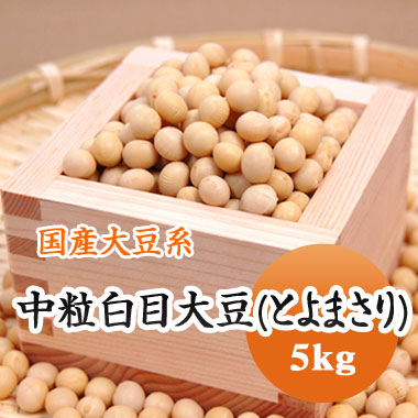 北海道産大豆の代表的品種銘柄です。味噌や豆乳、豆腐など潰して加工するのに適しています。 大豆 中粒白目大豆 とよまさり【令和３年産】 北海道産 煮豆 豆乳 味噌 5kg 大容量