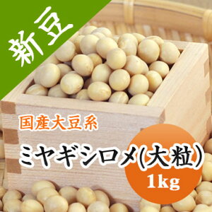 哤 ~MV 嗱 1i {錧Y 1kgyߘa6NYz X ϓ Ȃǂ