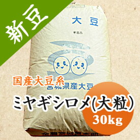 大豆 ミヤギシロメ 大粒 煮豆 豆乳 味噌 豆腐などに,, 宮城県産 30kg【令和7年産】 業務用