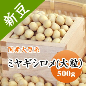 哤 ~MV 嗱 1i {錧Y 500g  X ϓȂǂ yߘa6NYz