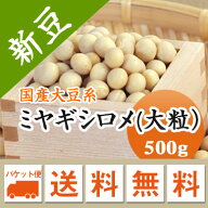大豆 ミヤギシロメ 大粒 宮城県産 豆乳 豆腐 味噌 煮豆などに 500g 【令和7年産】 メール便 送料無料！！