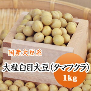 哤 ܂ӂ 哤őTCY ɑ嗱ڑ哤 ^}tN kCY ϓp 1kgyߘa6NYz