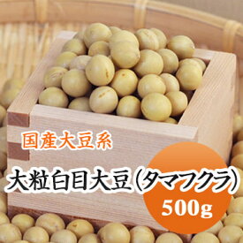大豆 たまふくら 極大粒白目大豆 タマフクラ 北海道産 高級煮豆用 500g【令和5年産】