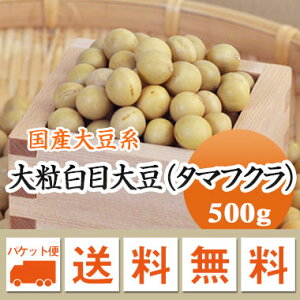 哤 ܂ӂ 哤őTCY ɑ嗱ڑ哤 ^}tN kCY ϓp 500gyߘa6NYz [ 