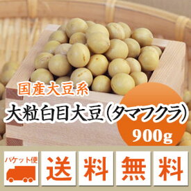 大豆 たまふくら 国内最大黄大豆 タマフクラ 北海道産 高級煮豆用 900g【令和5年産】 メール便 送料無料　お届けに3日～7日かかります