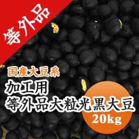 黒豆 【加工用 等外品】 大粒光黒大豆 北海道産 訳あり20kg【令和7年産】黒豆茶 豆乳などに.. お買い得　食品ロス　送料無料