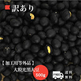 黒豆 【加工用 等外品】 規格外黒大豆 北海道産 訳あり B級品 お買い得 黒豆茶 豆乳 ダイエット 食品ロス 500g【令和5年産】 メール便 送料無料！！お届けに3日～7日かかります