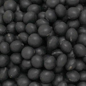  嗱哤 kCY 500g yߘa6NYz [ 