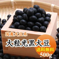 黒豆 大粒光黒大豆 北海道産 500g 【令和7年産】 メール便 送料無料