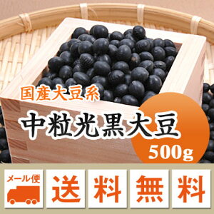  哤 kCY 500gyߘa6NYz [ II sɂ͏oȂTCY