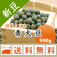 大豆 青大豆 山形県産 ひたし豆用 900g【令和7年産】 メール便 送料無料