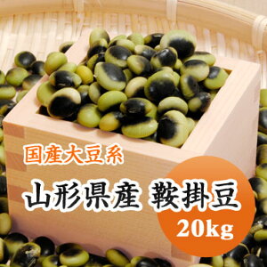 哤 Ɗ| 炩 R`Y 20kgyߘa6NYz e 