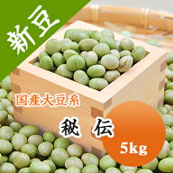 大豆 秘伝豆 山形県産 ひたし豆 5kg【令和7年産】 送料無料