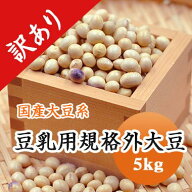 大豆 等外品 　岩手県産 宮城県産　規格外 訳あり B級品 食品ロス 5kg【令和7年産】 味噌・豆乳などに