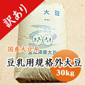 大豆　等外品大豆 加工用 岩手県産　規格外 訳あり　B級品　食品ロス　豆乳 30kg【令和5年産】 業務用 大容量 味噌・豆乳などに