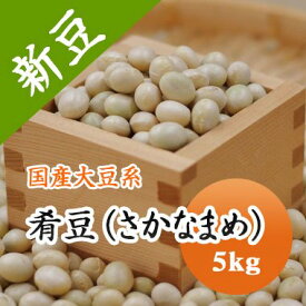 大豆 肴豆 ( さかなまめ ) 宮城県産 5kg【令和5年産】