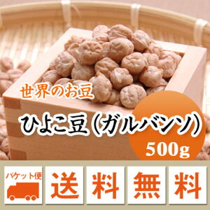 Ђ悱 Ko\ J[@T_@AJY 500g [ 