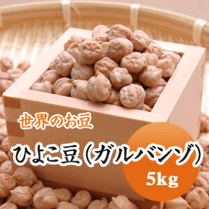 Ђ悱 Ko\@J[@T_@e AJY 5kg
