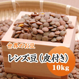 レンズ豆 ブラウン (皮付き) アメリカ産 10kg