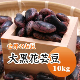 紫花豆 中国産 大黒花芸豆 10kg　残留農薬検査合格品　送料無料