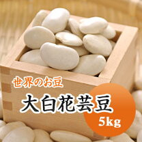 楽天市場】白芸豆の通販 新鮮な白芸豆5公斤
