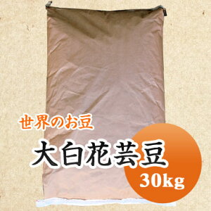 ԓ Y 唒Ԍ| 30kg yƖpzc_򌟍ii@