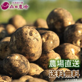 森田農場 新 じゃがいも とうや 北海道産 3kg