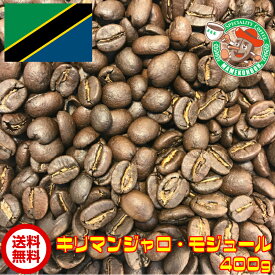 【メール便・送料無料】キリマンジャロ・モンジュール AA 400g【自家焙煎コーヒー豆・レギュラーコーヒー・レギュラーコーヒー】