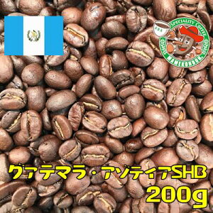 �y���[���ցz�O�@�e�}���E�A�]�e�B�ASHB 200g�y���������R�[�q�[���E���M�����[�R�[�q�[�z