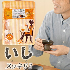 ウラジロガシ茶 まめまめハウス 国産 ［30包］ 【送料無料】 うらじろがし茶 うらじろがし 裏白樫茶 健康茶 お茶
