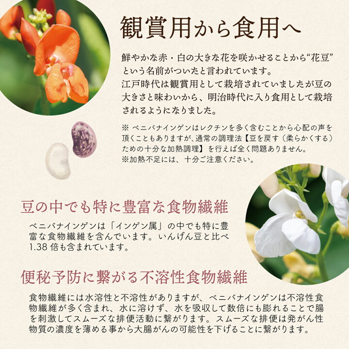 楽天市場 新豆 白花豆 白花美人 500グラム 令和4年収穫 北海道産 送料無料 豆の女王 白花豆 白花美人 花豆 紅花いんげん豆 べにばないんげん豆 いんげん豆 インゲン豆 いんげんまめ インゲンマメ 白いんげん豆 白インゲン豆 白いんげんまめ 白インゲンマメ 高級菜豆