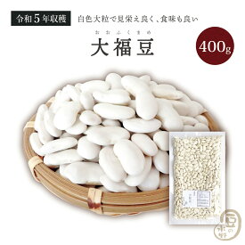 大福豆 400グラム 令和5年収穫 北海道産 【送料無料】斗六豆 とうろくまめ 十六寸豆 とうろくすんまめ
