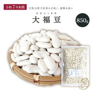 新豆入荷 大福豆850グラム 令和7年収穫 北海道産 【送料無料】斗六豆 とうろくまめ 十六寸豆 とうろくす…